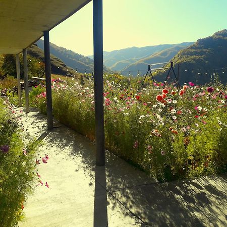 Betegi Guest House Mestia Exterior foto
